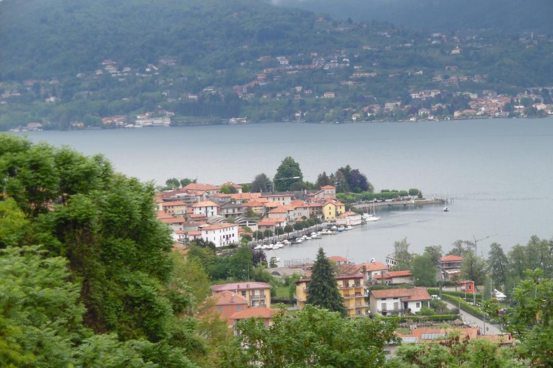 Photo of Others in Alzo