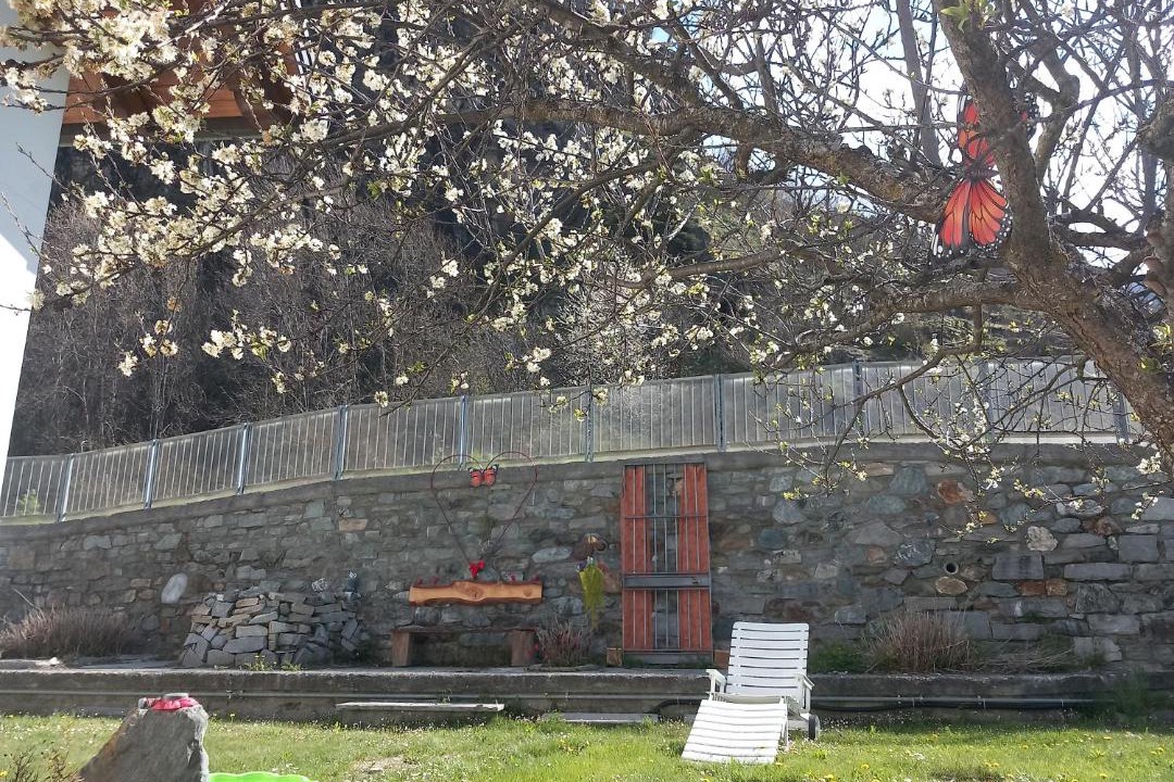 Photo of Others in Antey-Saint-Andre