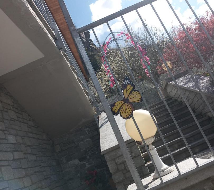 Photo of Others in Antey-Saint-Andre