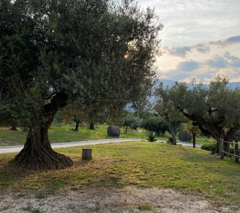Photo of Others in Cugnoli