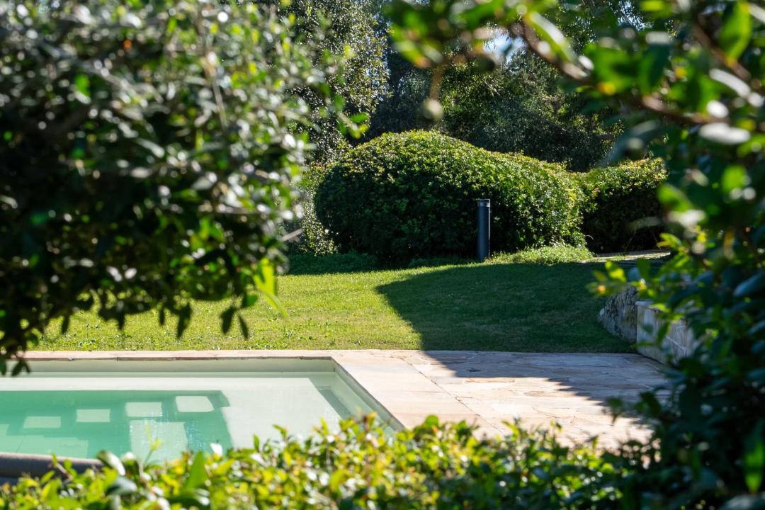 Photo of Others in Porto Rotondo