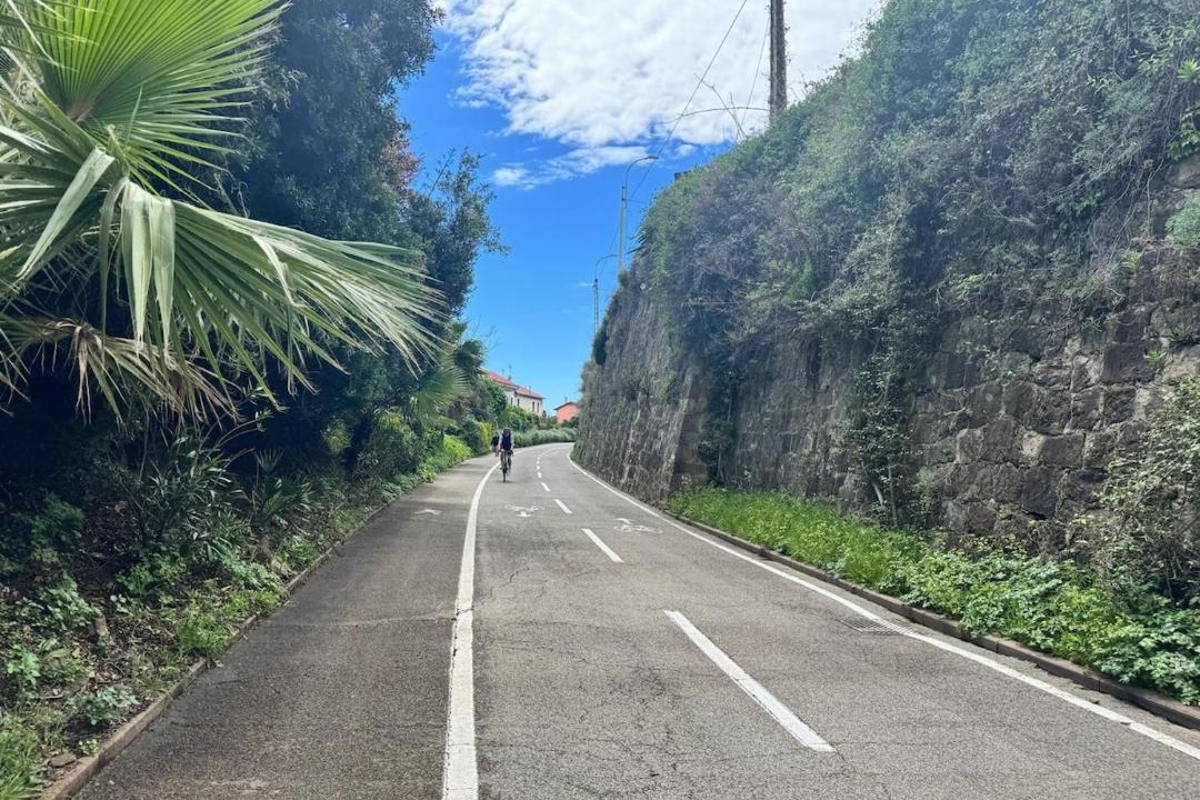 Photo of Outdoor in Bussana
