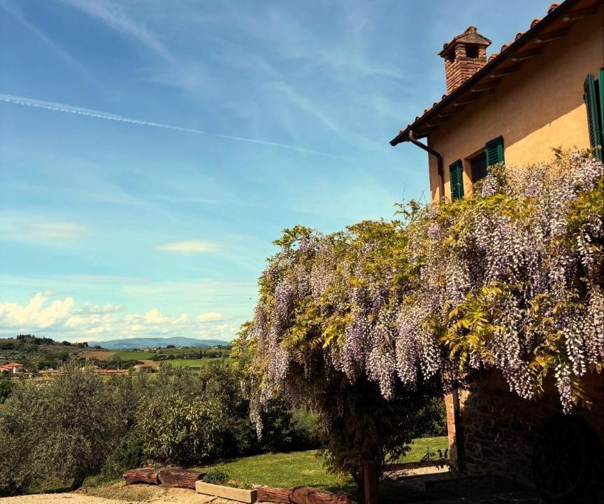 Photo of Others in Panicale