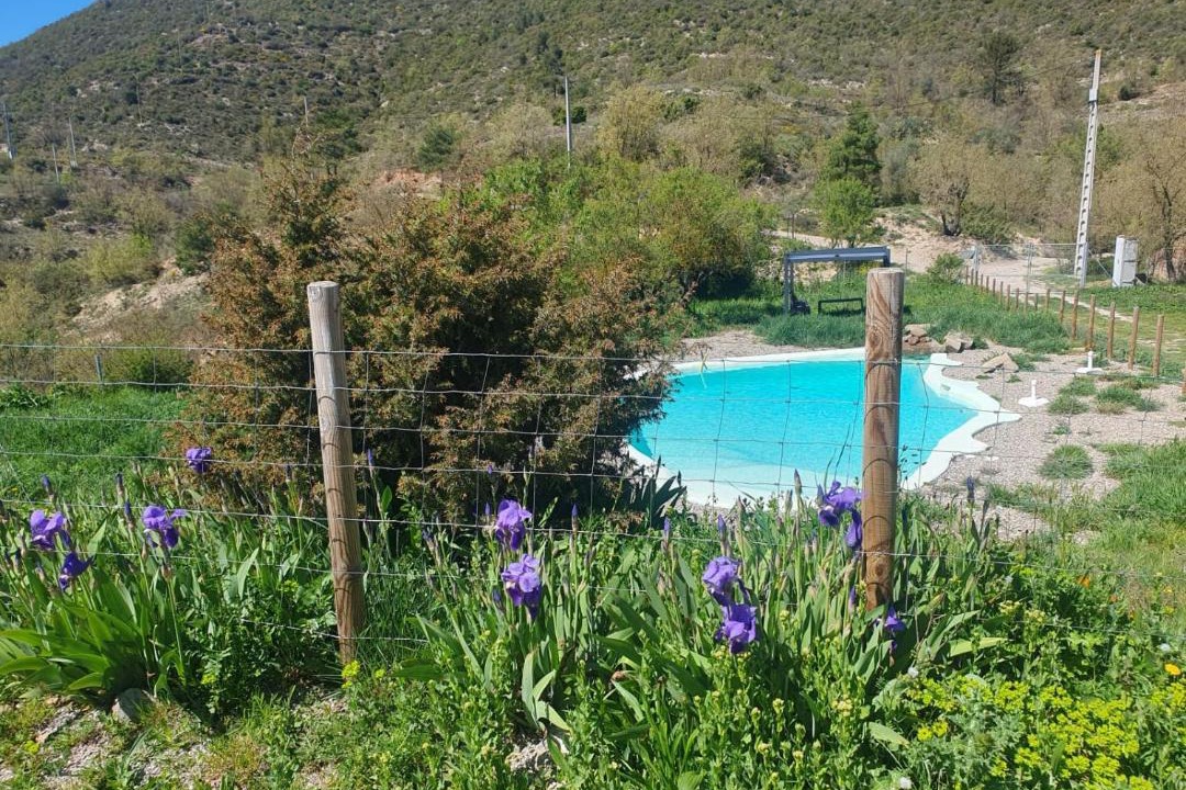 Photo of Others in La Molsosa