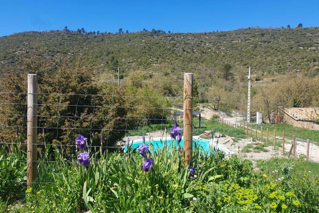 Photo of Others in La Molsosa