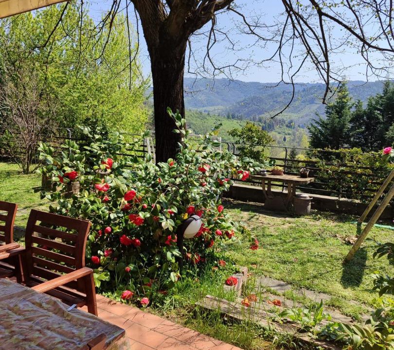 Photo of Others in San Lorenzo in Collina