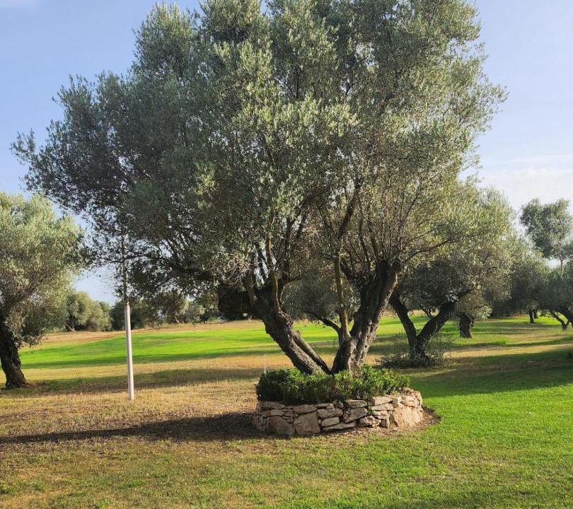 Photo of Outdoor in San Jorge