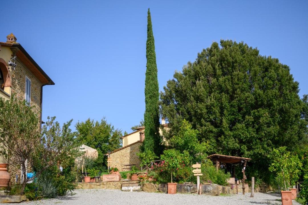 Photo of Others in Civitella in Val di Chiana