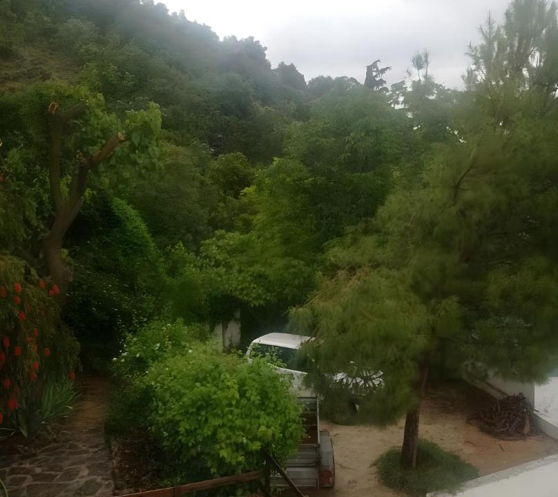 Photo of Others in Villanueva del Arzobispo