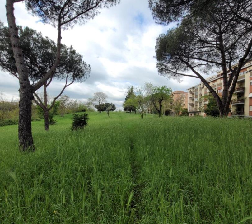 Photo of Others in Torrino
