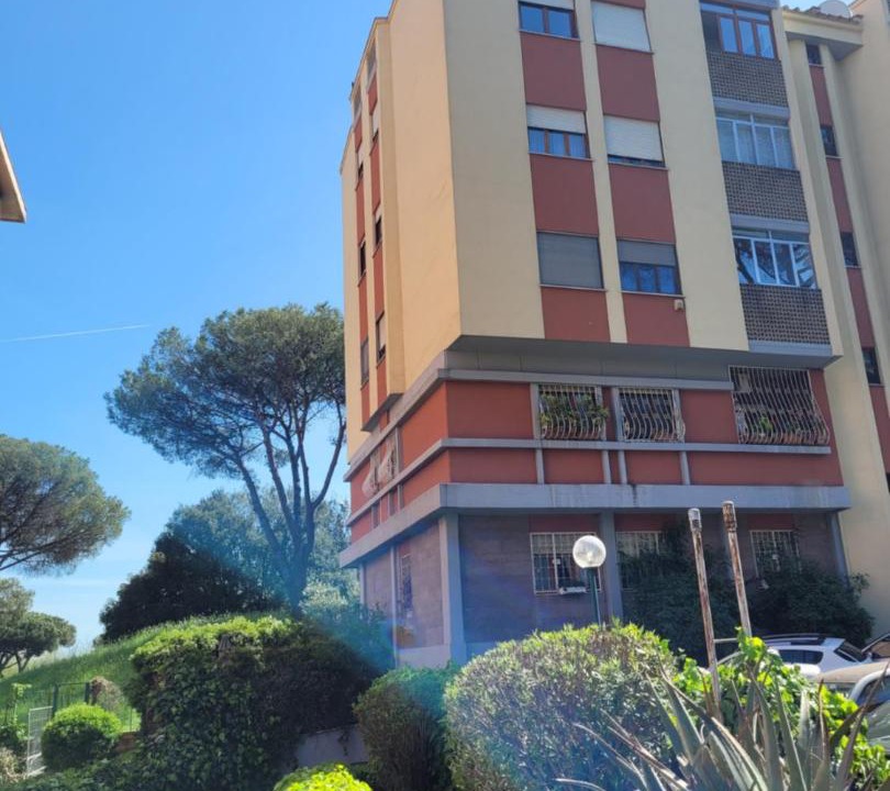 Photo of Others in Torrino