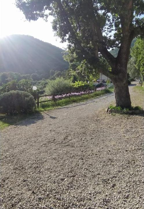 Photo of Others in Tolfa