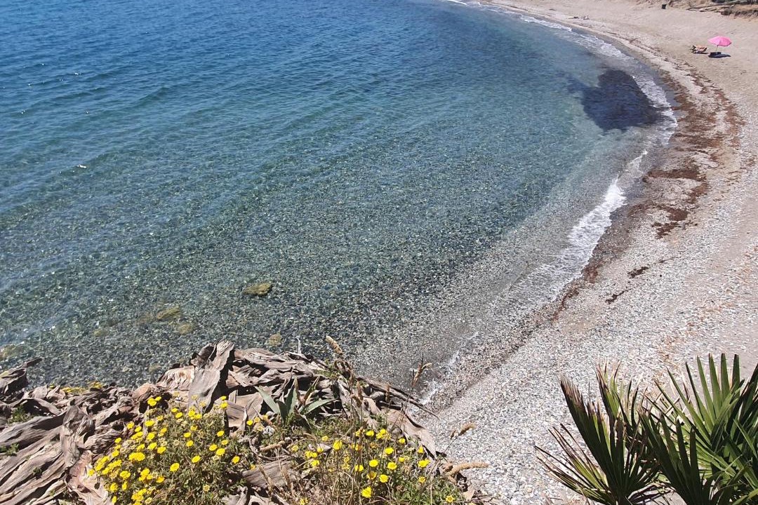 Photo of Others in Casares del Mar