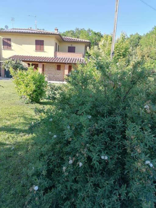 Photo of Others in Civitella in Val di Chiana