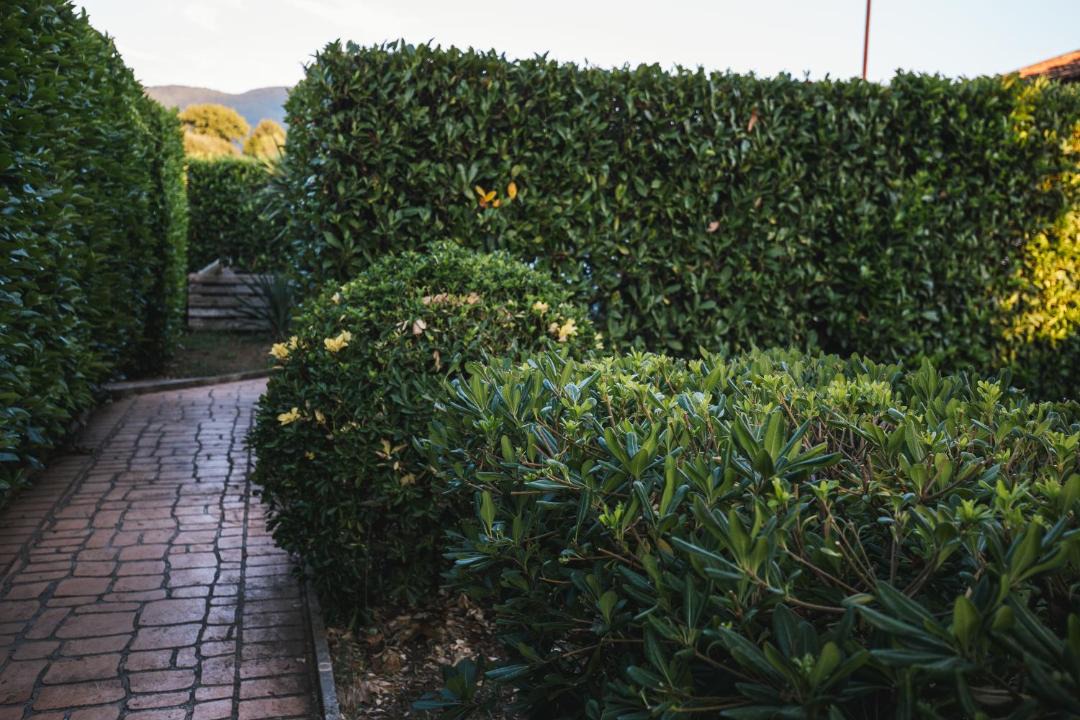 Photo of Outdoor in Castel Madama