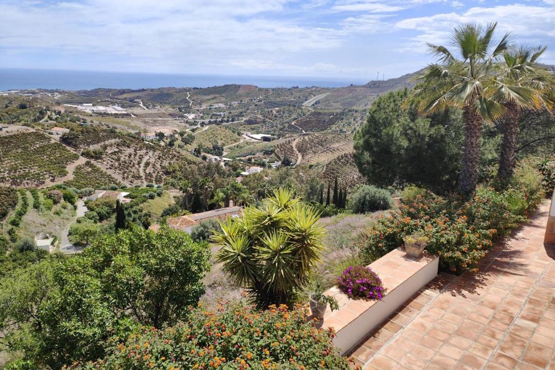 Photo of Others in Cajiz