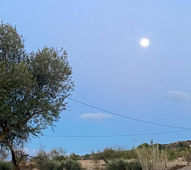 Photo of Others in Huercal-Overa