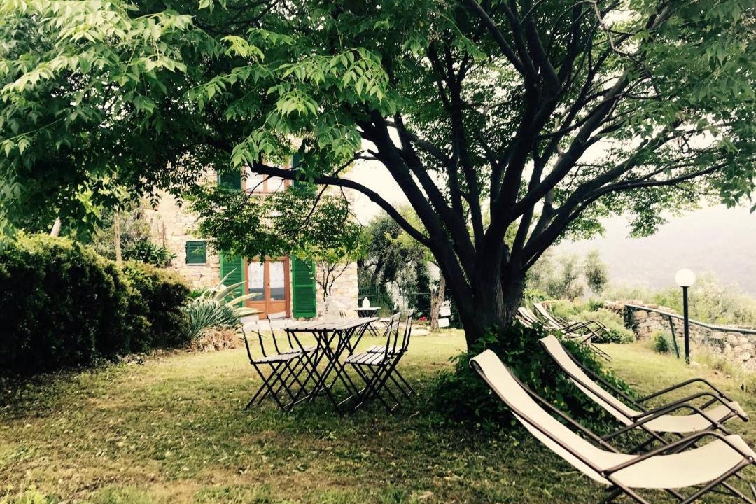 Photo of Others in Gazzelli