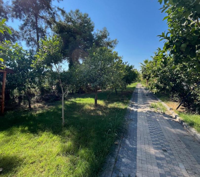 Photo of Outdoor in Kargıpınarı