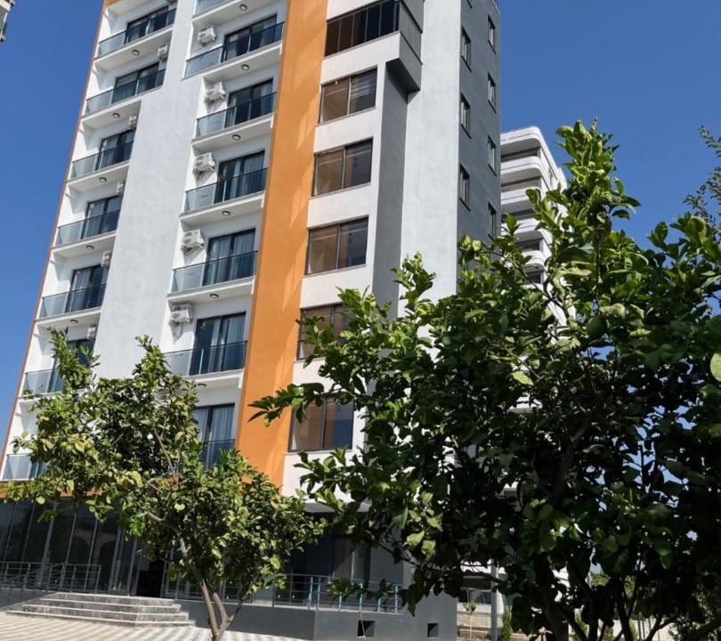 Photo of Others in Kargıpınarı