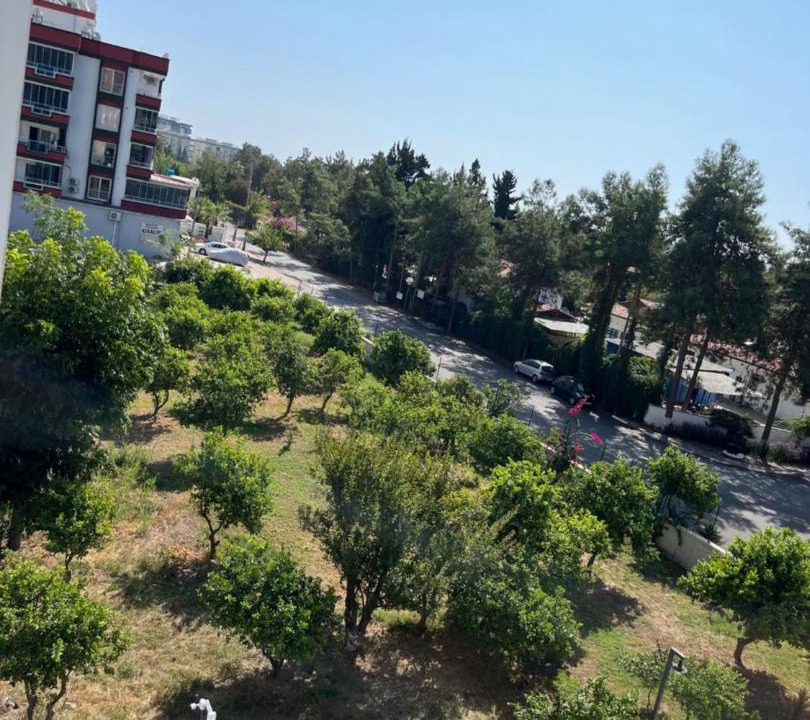 Photo of Others in Kargıpınarı