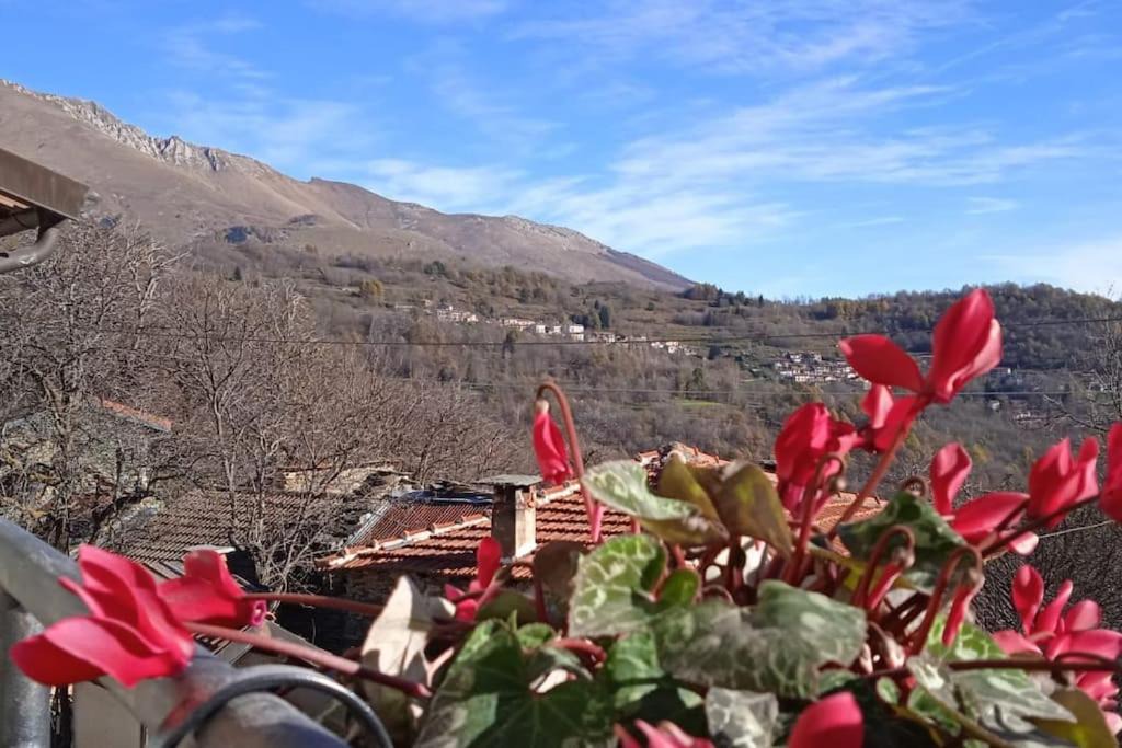 Photo of Others in Ormea