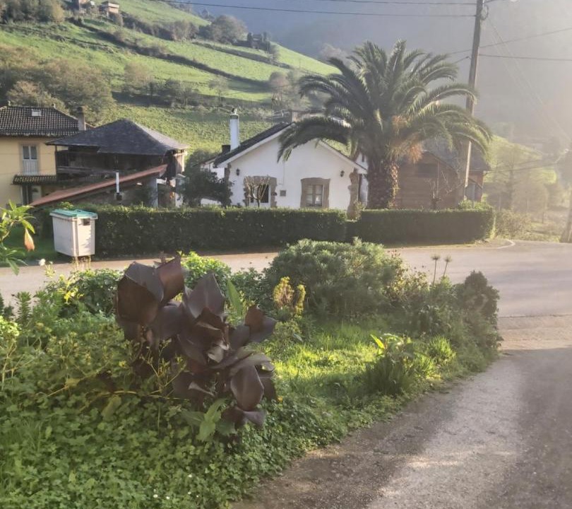 Photo of Others in Las Rubias