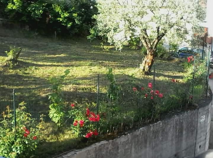 Photo of Others in Satriano di Lucania