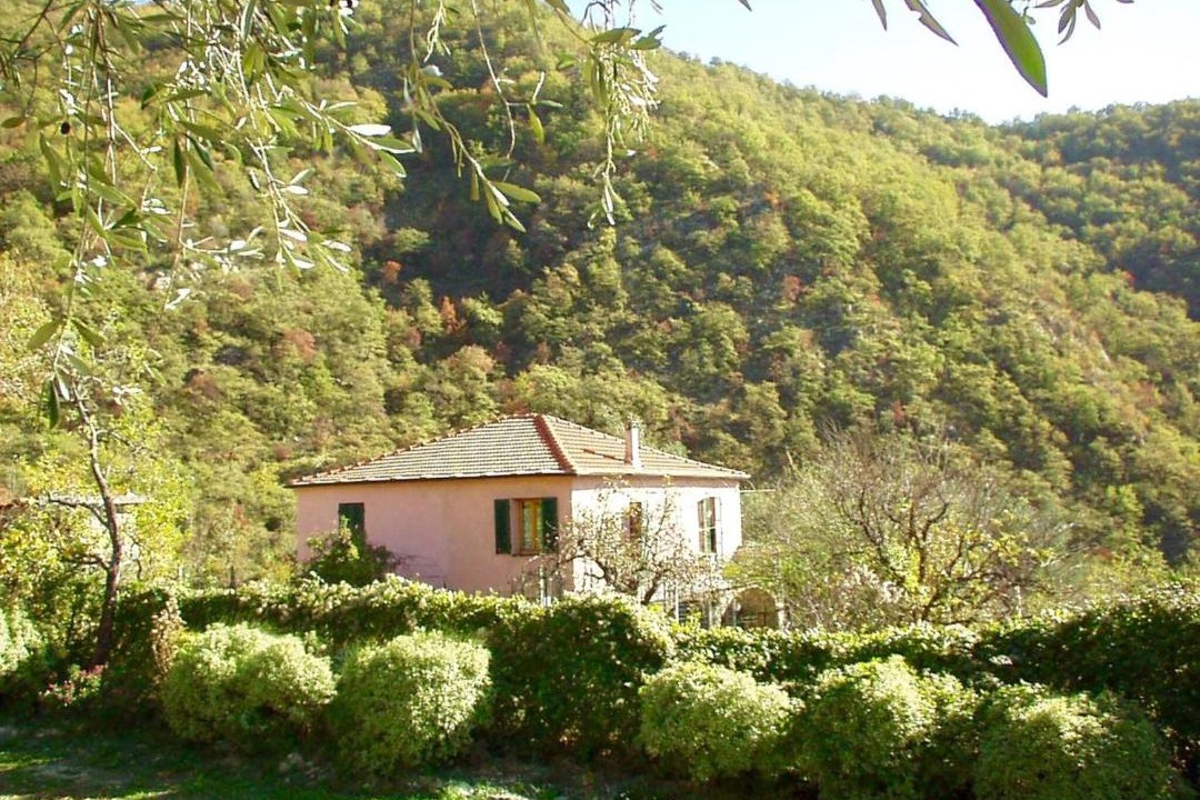 Photo of Others in Gazzelli