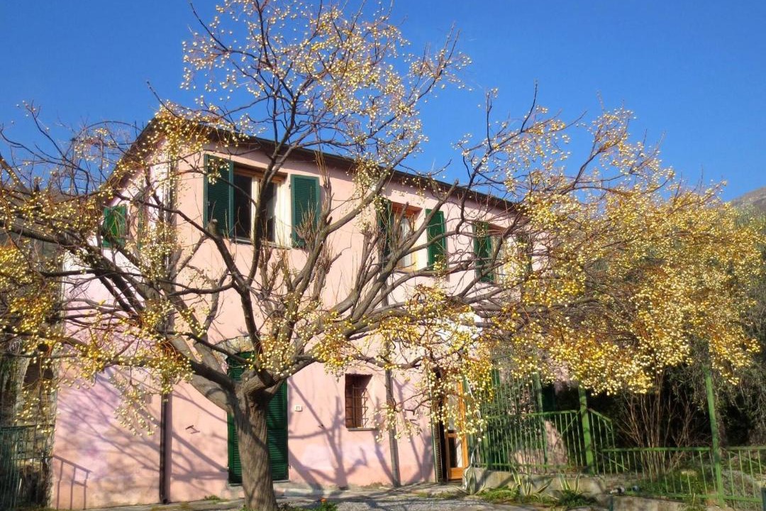 Photo of Others in Gazzelli