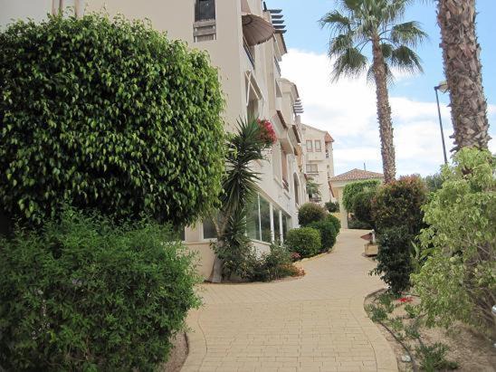 Photo of Buildings in El Albir