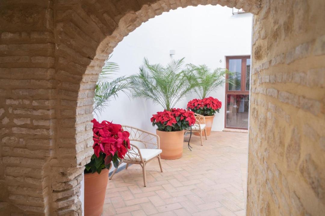 Photo of Patio Balcony in San Francisco-Ribera