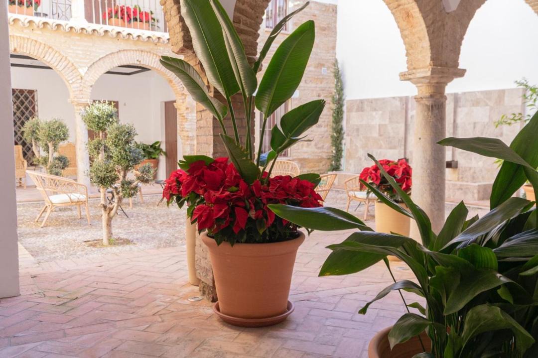 Photo of Patio Balcony in San Francisco-Ribera