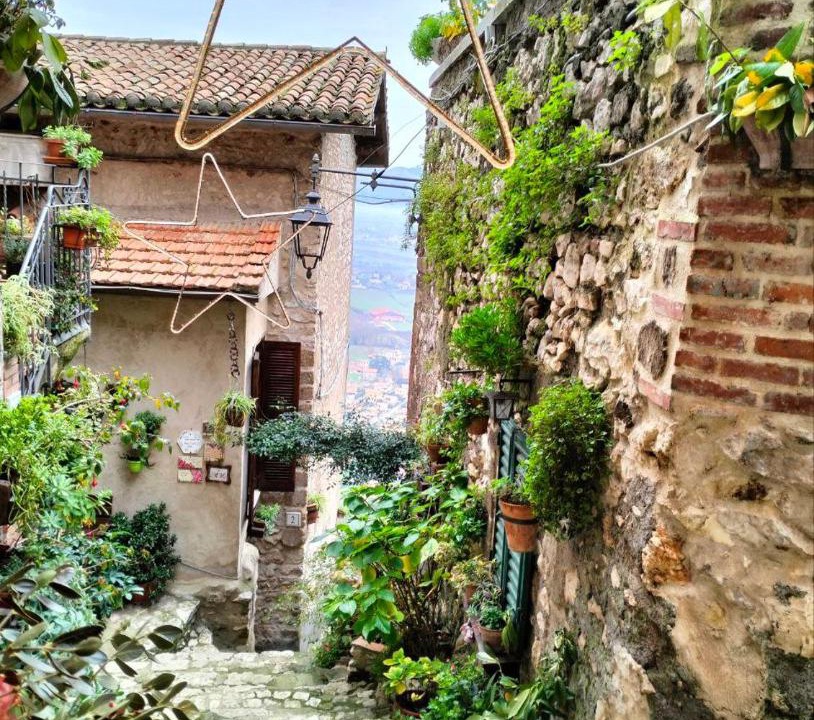 Photo of Others in Artena