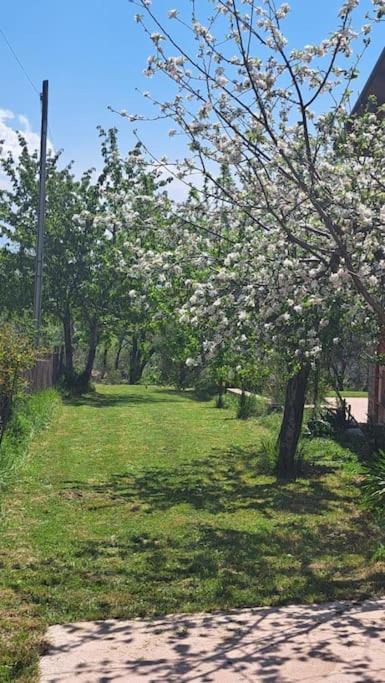 Photo of Outdoor in Trentinara