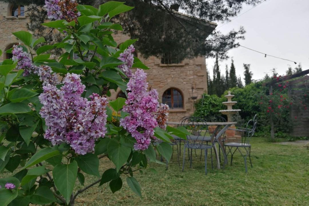 Photo of Others in Fonollosa