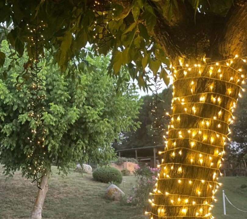 Photo of Outdoor in Caldes de Malavella