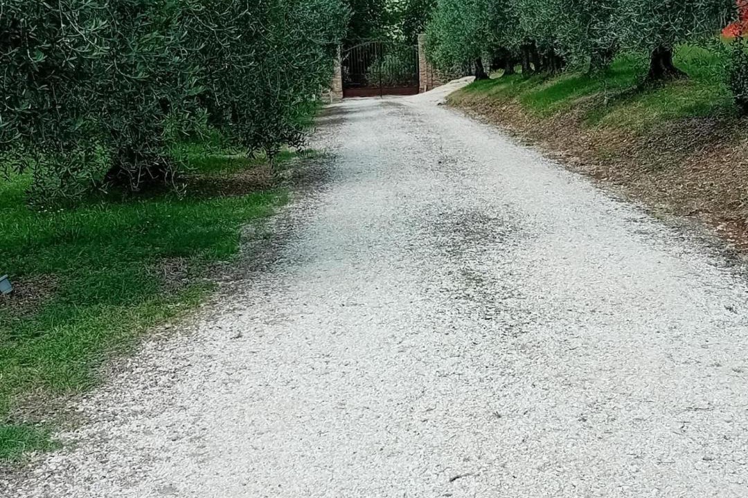 Photo of Outdoor in Castel Viscardo