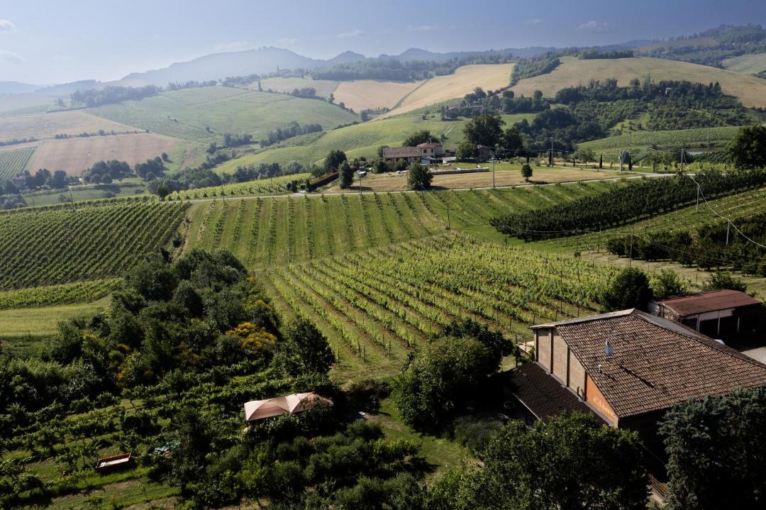 Photo of Others in Savignano sul Panaro