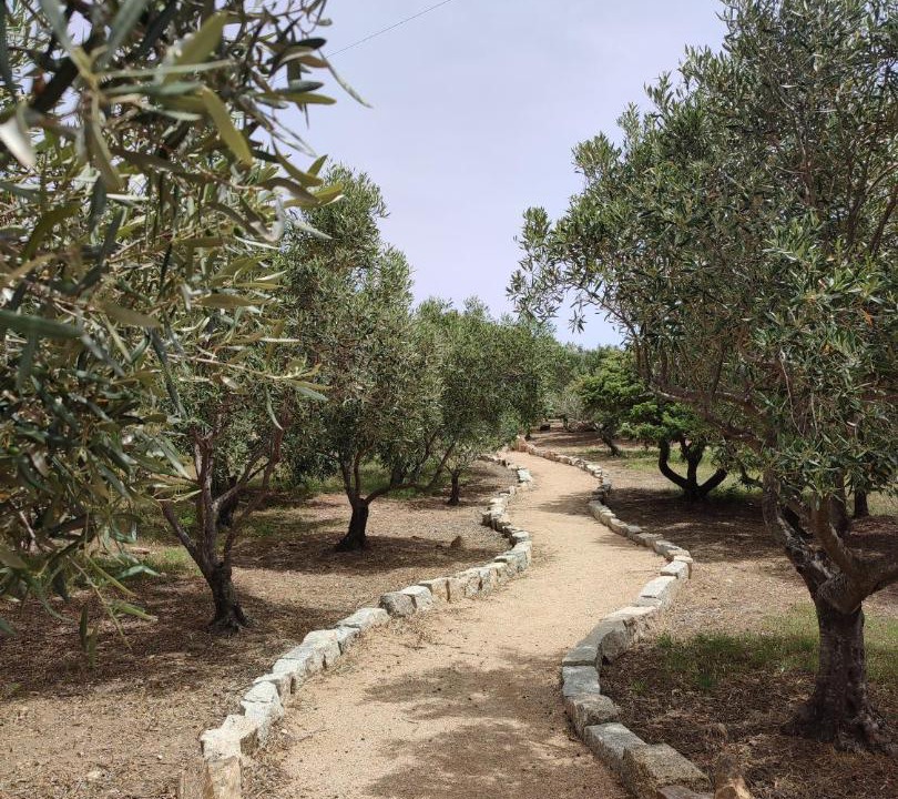 Photo of Others in Cugnana Verde