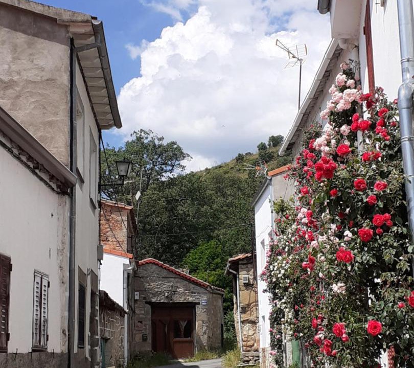 Photo of Others in Solana de Avila