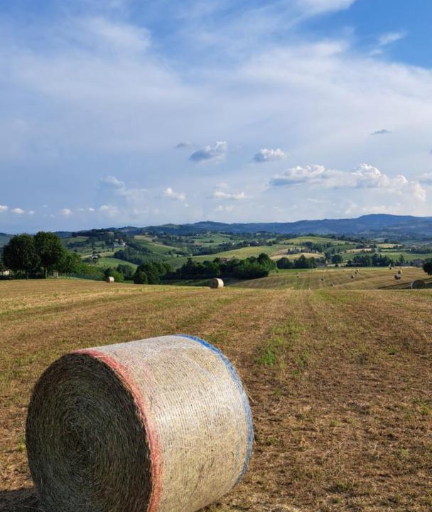 Photo of Others in Castelvetro di Modena