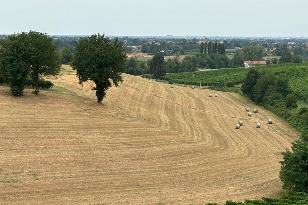 Photo of Others in Castelvetro di Modena