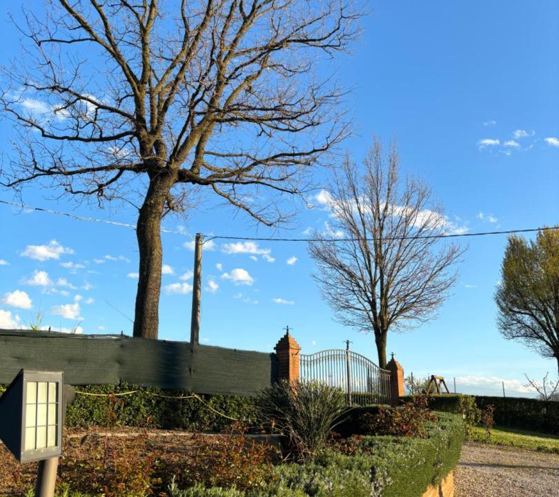 Photo of Others in Castelvetro di Modena
