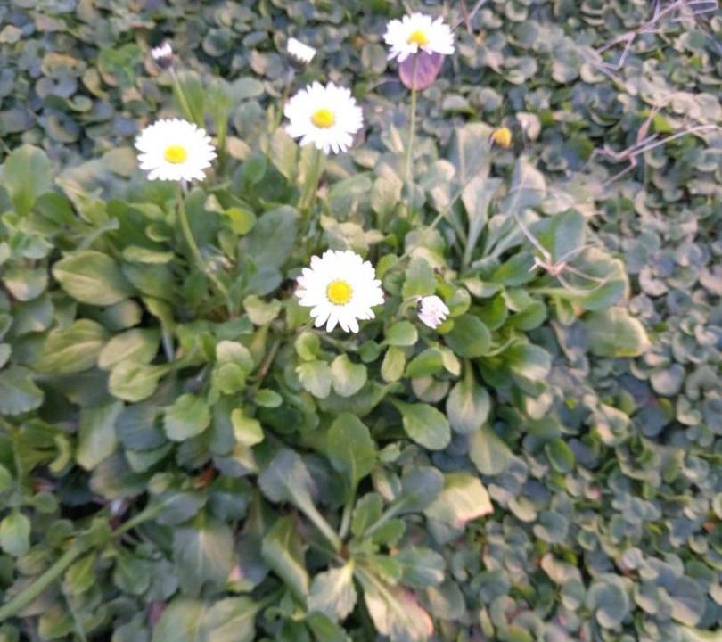 Photo of Outdoor in Santo Stefano di Magra