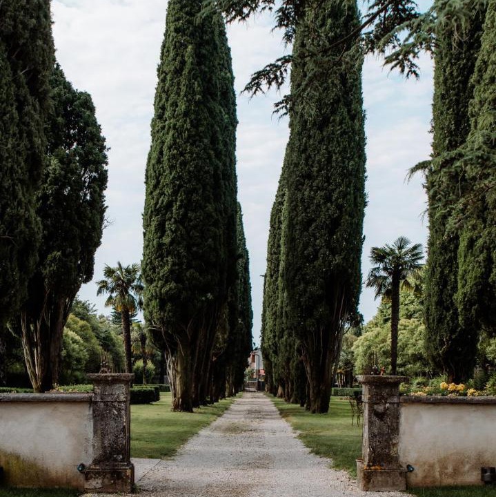 Photo of Others in Tregnago