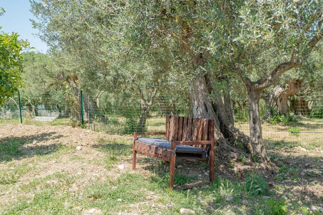 Photo of Others in Rocca San Giovanni