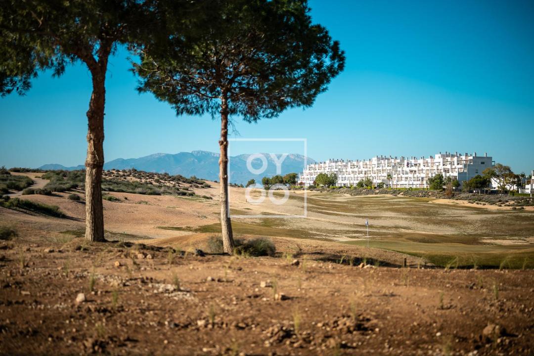 Photo of Others in Alhama de Murcia