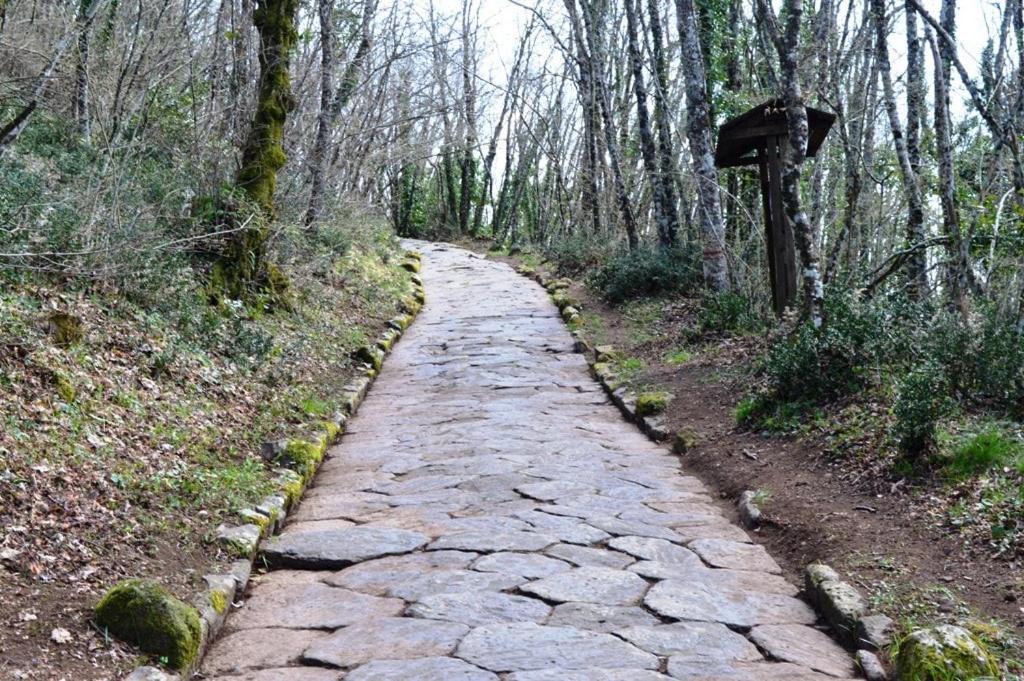 Photo of Outdoor in Rocca di Papa