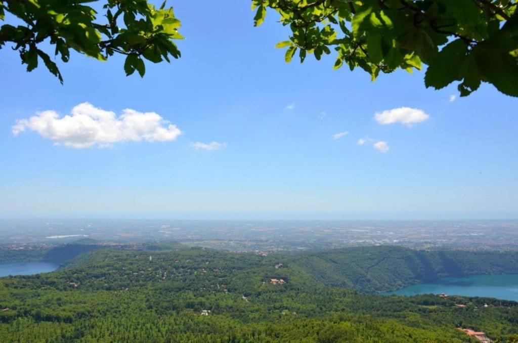 Photo of Others in Rocca di Papa